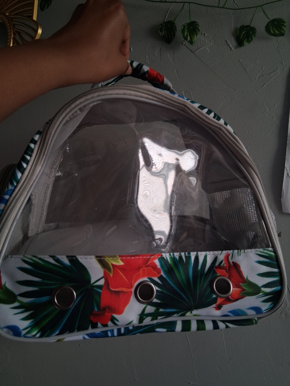 Cat/kitten &bird Small Animals Carry Bag